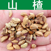 ��ľ�N�� ɽ髷N�� ɽ����N�� ɽ��t�N�� ����t 1��=1��