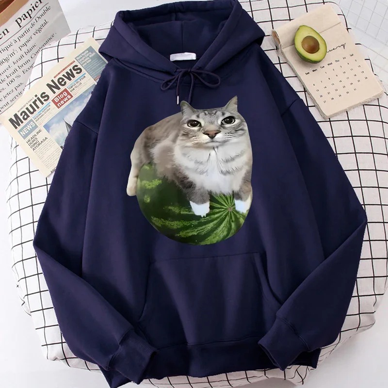 Cute sweatshirt for leisure with hood