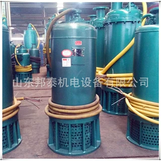 煤安认证BQS矿用潜水泵BQS30-170/2-45/N矿用防爆排污排沙潜水泵