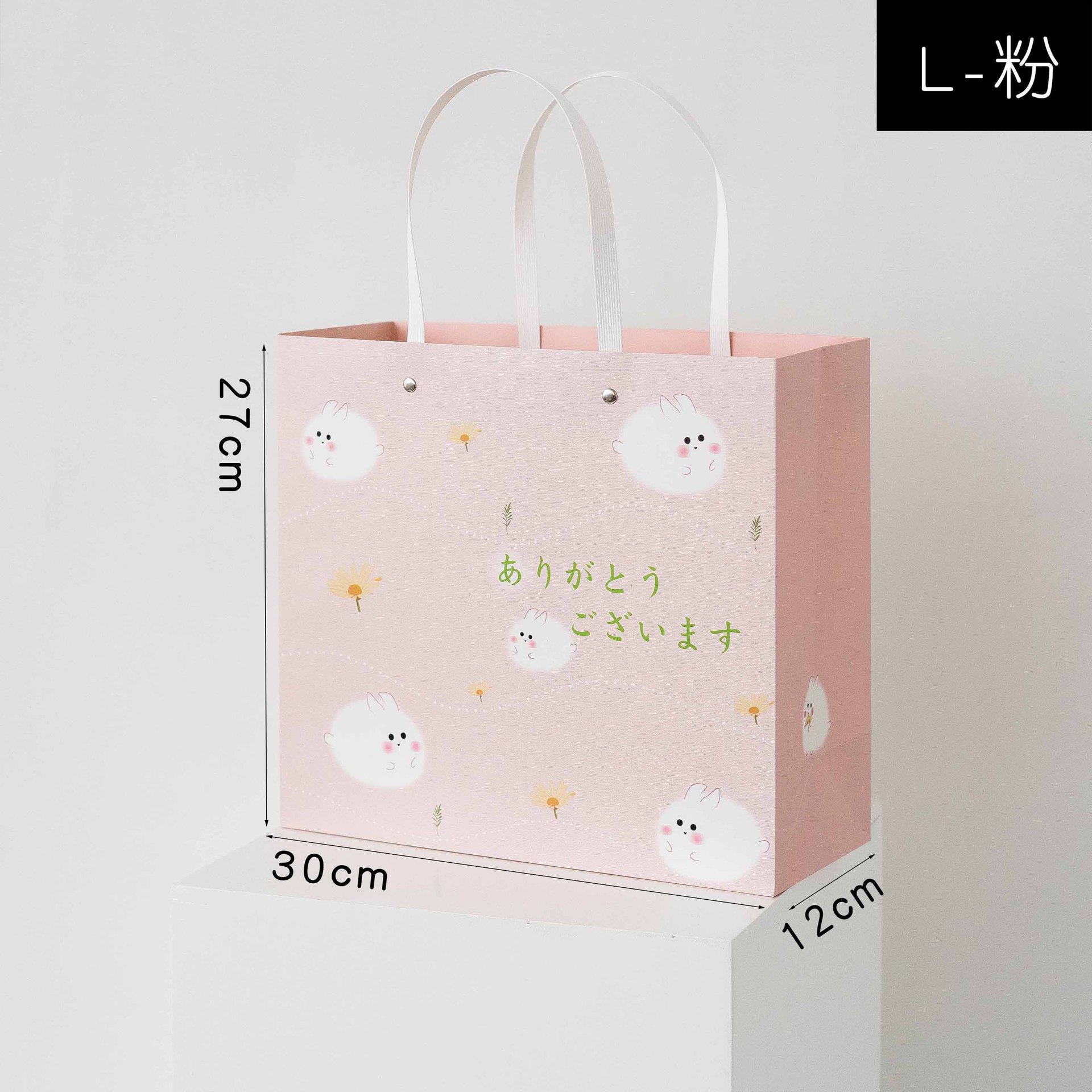 Ins estilo bolso de estilo japonés bolsa de regalo caja de almuerzo bolsa de almuerzo estudiante lindo bolso de embalaje de compras portátil