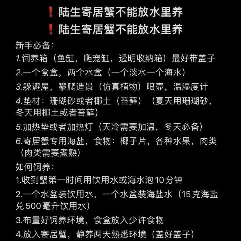 d4029b80-cee6-4c64-816e-19faab68e2eb.jpe