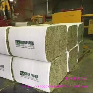 ʮ�������M����ޣ�ݸɲ���������ɽ�������˚�������