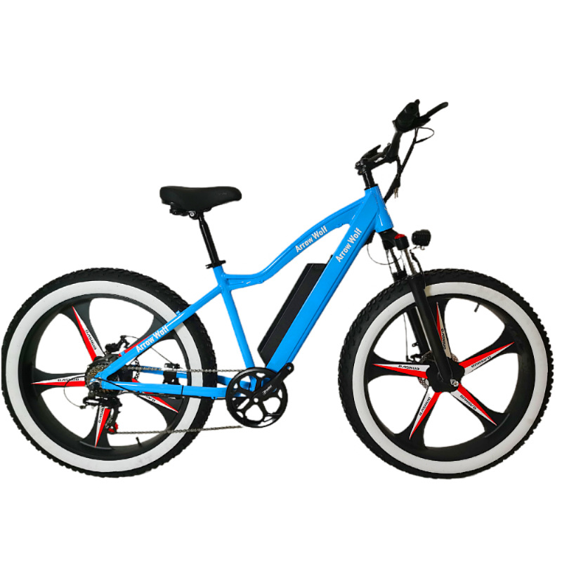 Electric mountain folding bike