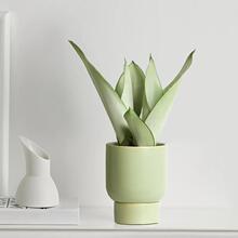 ����Ƥ�m���������k���҃�ֲ�︻�F��͏d�J�C���BС�Gֲ��β�m