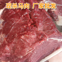 山东临沂马肉定制现杀马肉批发白条排骨里脊可选加工厂源头批发