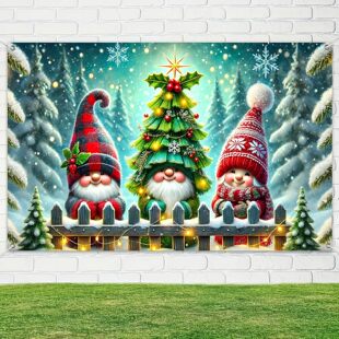 �}�Q�����M�������b���� ѩ�����������b����Ɍ����ñ���