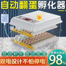 批发定制110V--240V全自动孵蛋器家用小型鸡鸭鹅芦丁鸡智能孵化器