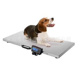 电子秤;手提秤;厨房秤