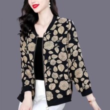 ���ꋌ�����b��������������·�2026���¿�������Ů�ļ���������