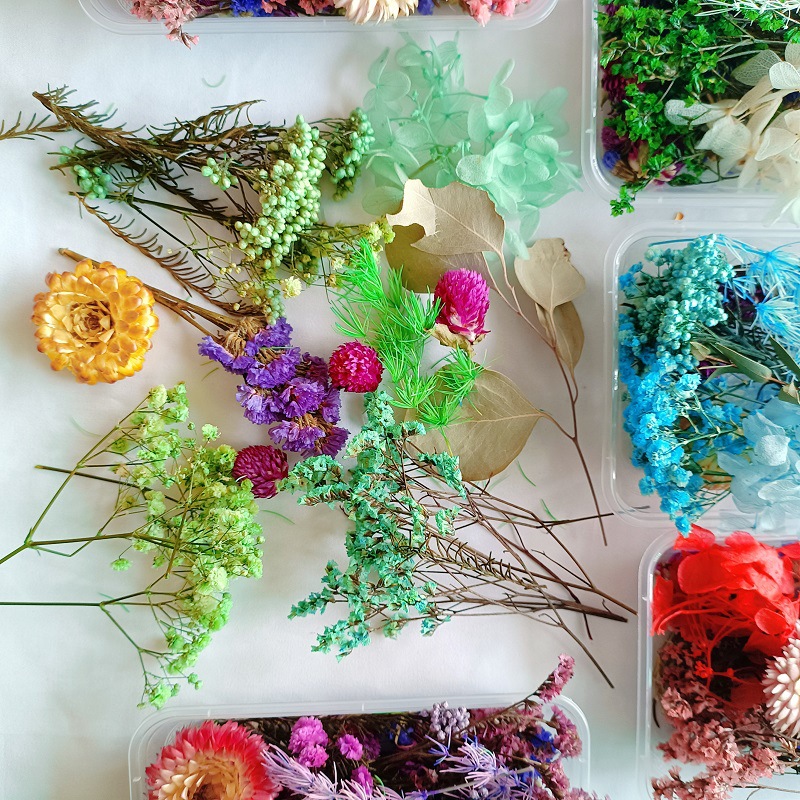 微信图片_2022062214134114