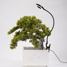 花盘夹鱼缸灯变焦南美射灯原生溪流缸灯照明led水草灯LED红蓝光