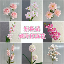 ��ɫϵ���}��Y���滨�Ƶ�T̨�b��Ż����ҷ۰׷Շ��л�c�ٻ�