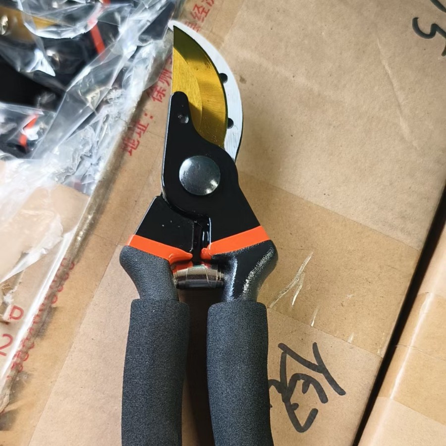 2024-12-08 20:43:07.jpg