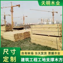 ���B��ľ�Fɼ���l�������F܉���Fɼ���F���̽��Bľ���ֈ��ӹ�