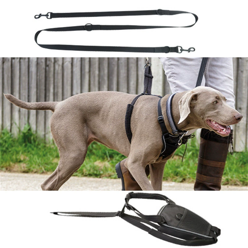 Заводское место прямые поставки поводок для домашних животных кошка и собака регулируемый нагрудный ремень товары для домашних животных артефакт для выгула собак