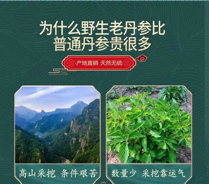 Dried Danshen Red Sage Root Slices Dan Shen 500g Bulk Chinese Herbal Tea and Decoction Pieces specifications