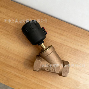 ���R��ؽ��y ����y A2891A  A2891B  A2891G  DN65