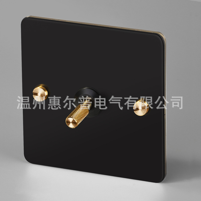 Mounted black retro switch key, light panel stainless steel