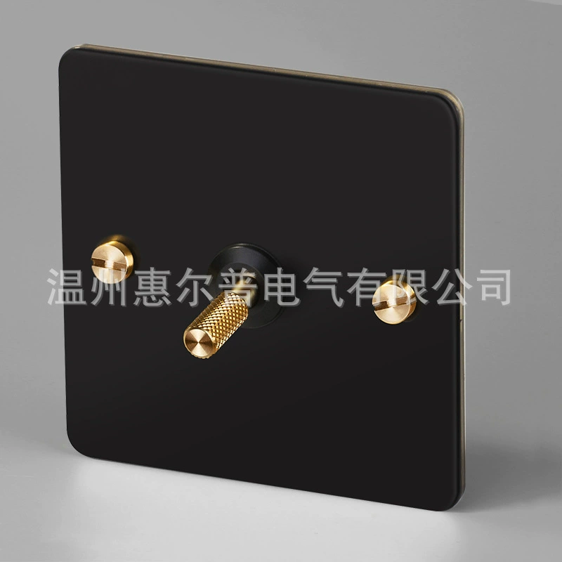 Mounted black retro switch key, light panel stainless steel