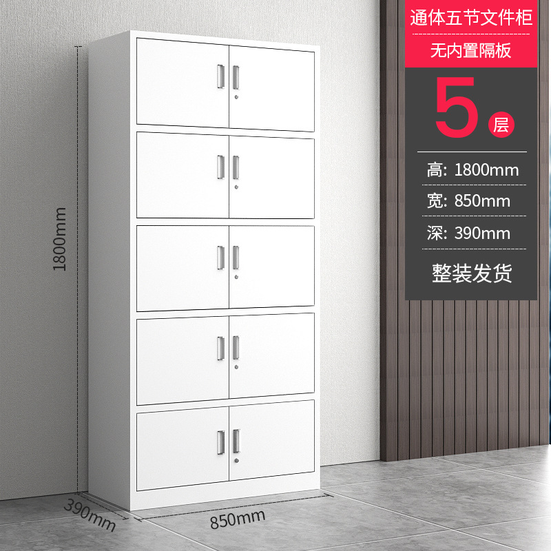 전신 5 섹션 캐비닛 자체 포함 배달