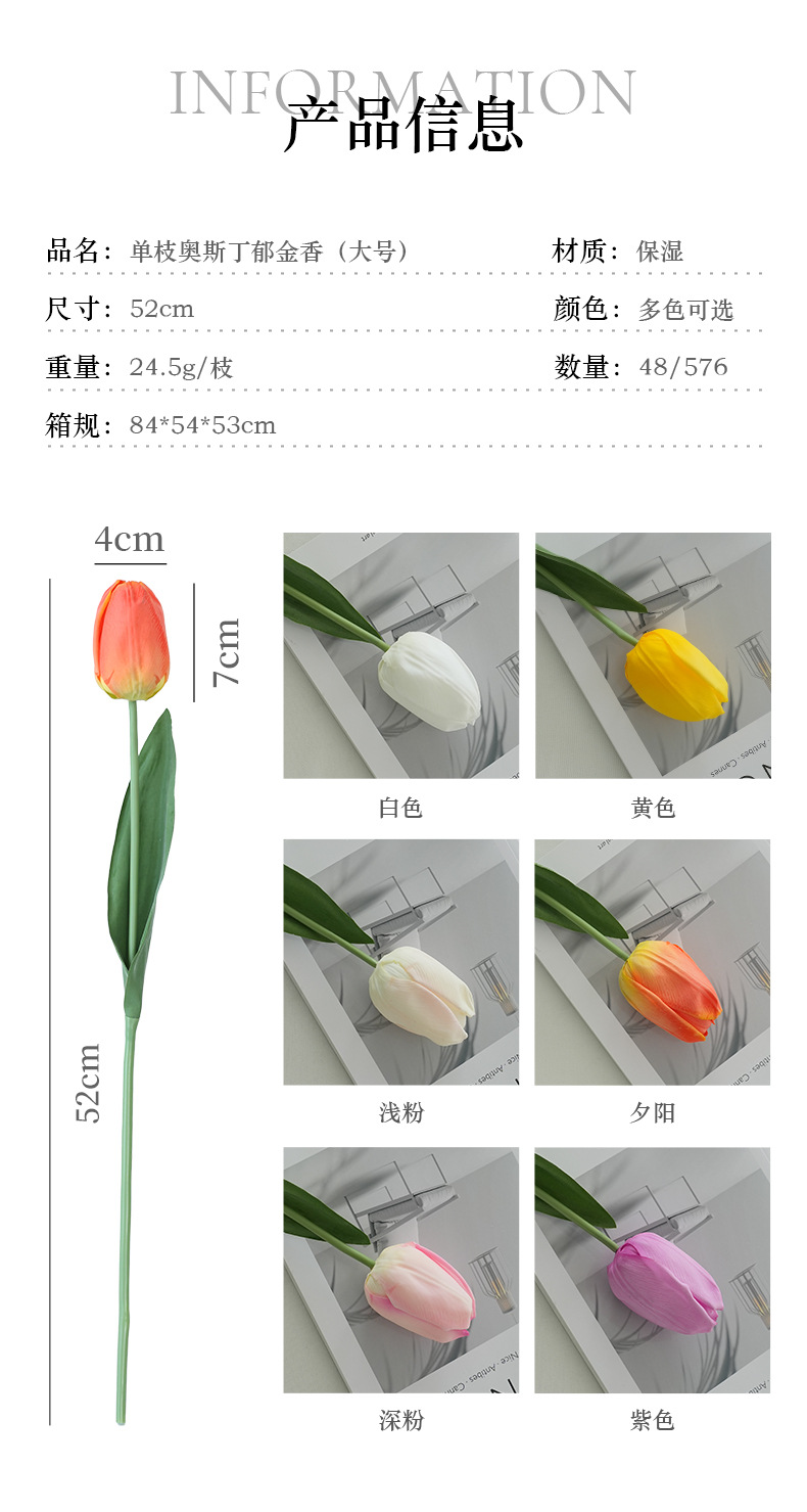 单枝奥斯丁郁金香（大号）_03.jpg