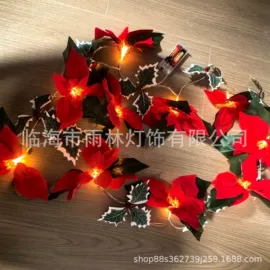 室内LED;室外LED;LED装饰灯