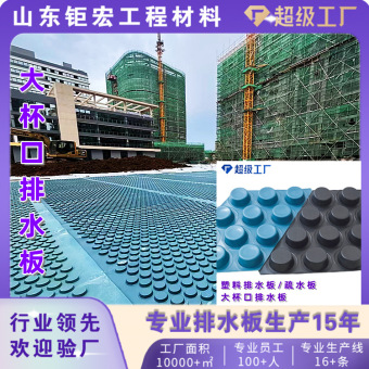 凹凸型HDPE塑料排水板工厂 地下室车库顶板底板大杯口加强型疏水