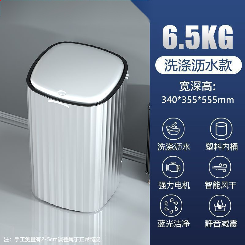 6.5KG 미니 탈수 없음