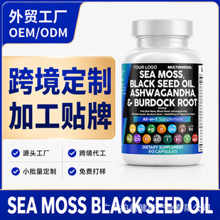 �羳����������Ϸ�����ţ����ͺ��z�� Sea Moss��N�V���|�ӹ�