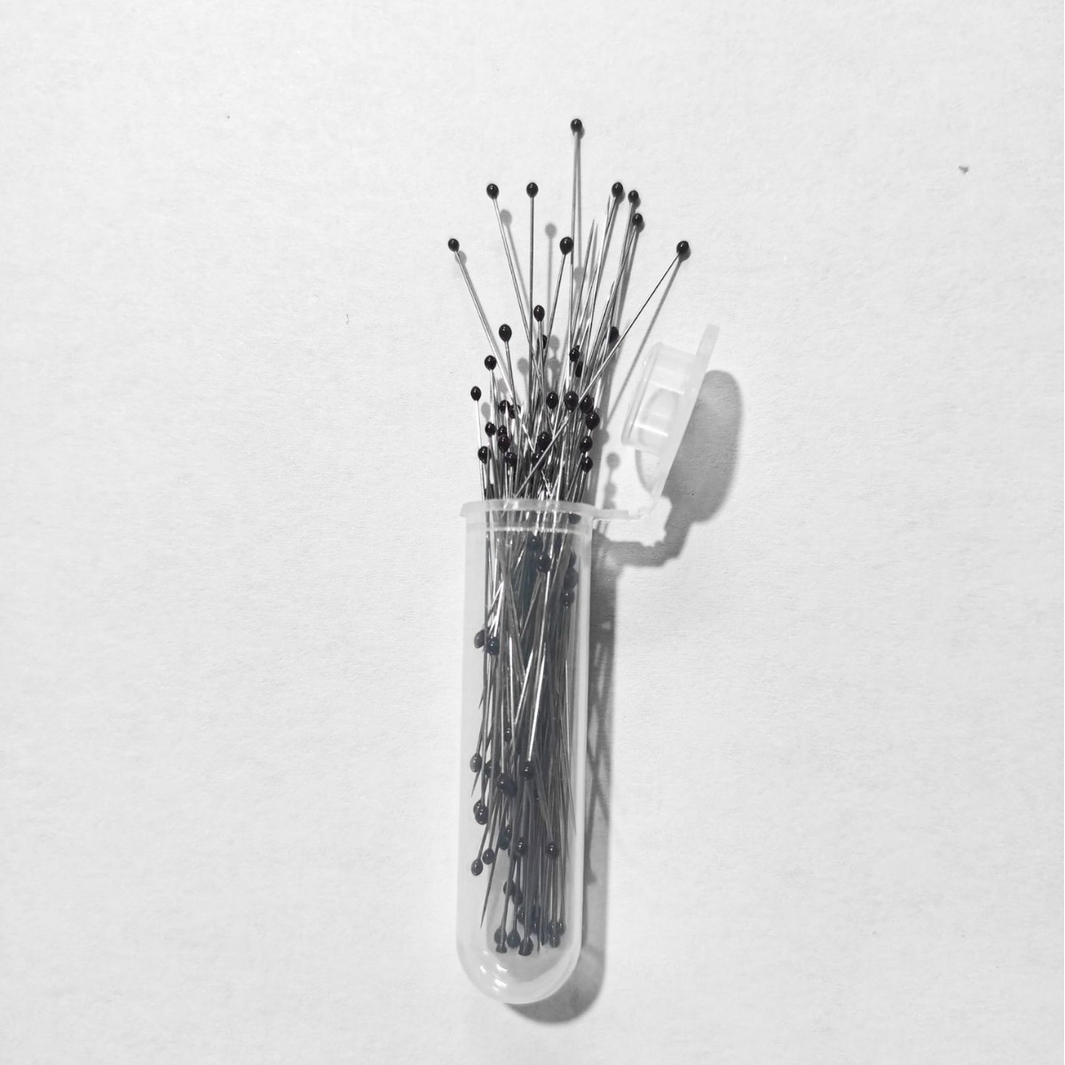 Supply stainless steel resin head insect pins, specimen pins, specimen making, patchwork basting pins, ultra-fine bead pin alternative