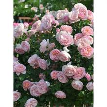 ¼Сͥ@ˇͥԺBܾGֲ֬r