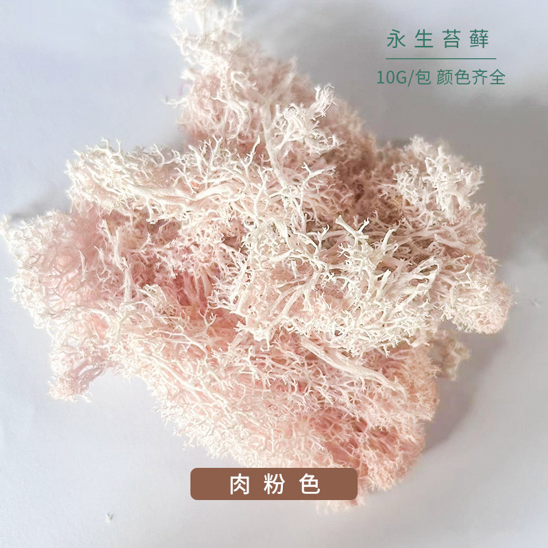 Flesh pink