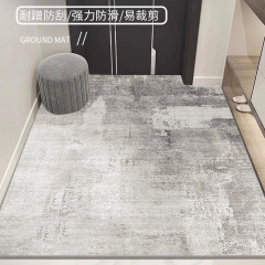 简约入户门圈绒地毯全铺大面积玄关脚垫进门耐脏易打理家用地垫