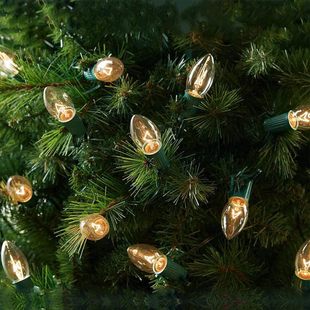 �羳��Ҏ����u�z����C7 25���}�Q�����b�ͥԺ����� 120V