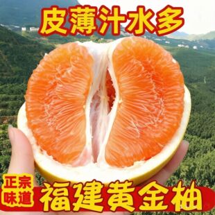 ���ڸ���ƽ���S���֮������r�S�����ӣ�֧��һ�����l��