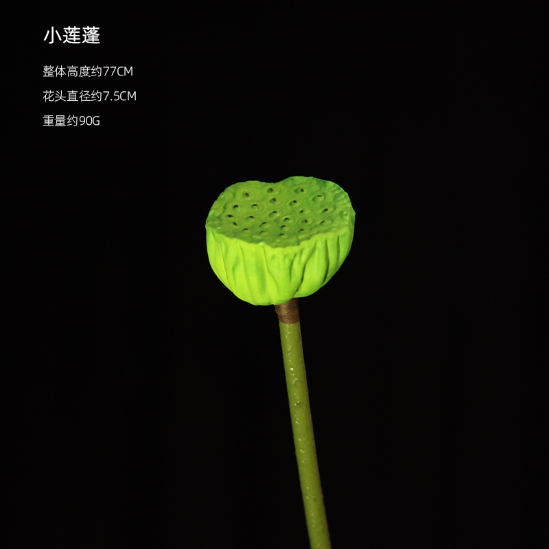 El Lotus-2