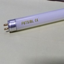 ßܺT5 T8Tß365{⾀{ω춚x