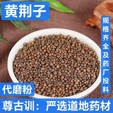 黄荆子布惊子黄金子沙中药材批发枕头填充物去皮抛光布荆子黄荆籽