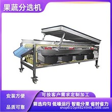 云南樱桃萝卜分选机 胭脂萝卜挑选机  土豆分拣机