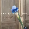 Irish blue