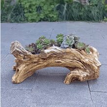 �����ľ�^��֬�����̨���Է��������⻨�����fľ����@�L��