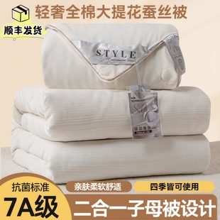 Tongxiang Silk Quilt, Mulberry Silk Winter Quilt, Class a Two-In-One Quilt, Winter Quilt, Thickened Wedding Quilt Core