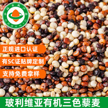 �ЙC��ɫ޼���� �����S���M�ڴ��w��ȥ������ϴ�����Դ�^�F؛