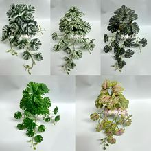 �¿��~��30�������~������ ����Gֲ�~���ԾG�}�~ ���W�L�Ҿ��b�