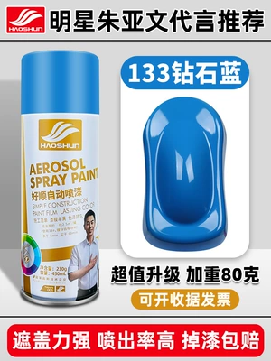 Metal Anti-rust Paint Wall – Avtomobil boya qələmləri - haoshun-self-painted-450ml133-diamond-blue
