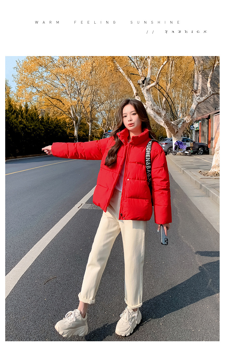 Women's Down Coat Winter Cotton Jacket Standing Collar Loose Fit_voghion.com