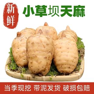 ���r����������ͨС�݉βĞ��F�ڂ��y���a��ƷҰ��