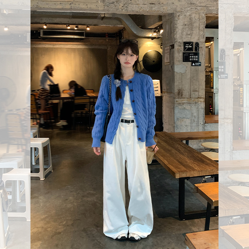 宋正恩蓝色麻花针织开衫外套女秋季新款宽松韩系慵懒毛衣长袖上衣|undefined