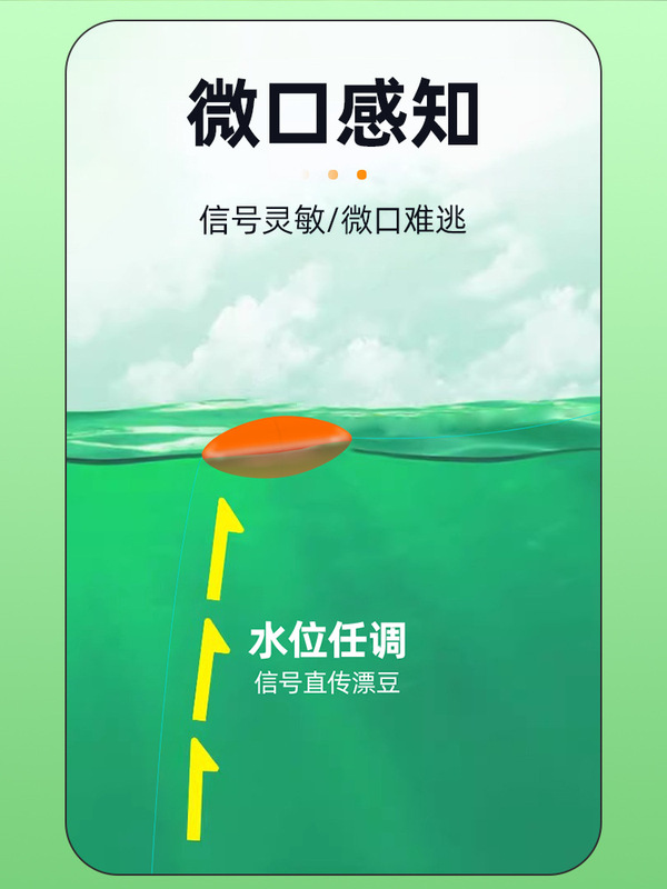 無料調整済みの小魚釣り糸、メインライン、フロートビーンズスリーブフック、鉛ペンダント、釣り用品|undefined