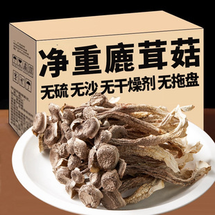 ¹�׹���؛���¹�׷Ǽ�Ұ����๽Ģ�����Ҝ����һ�����l���l